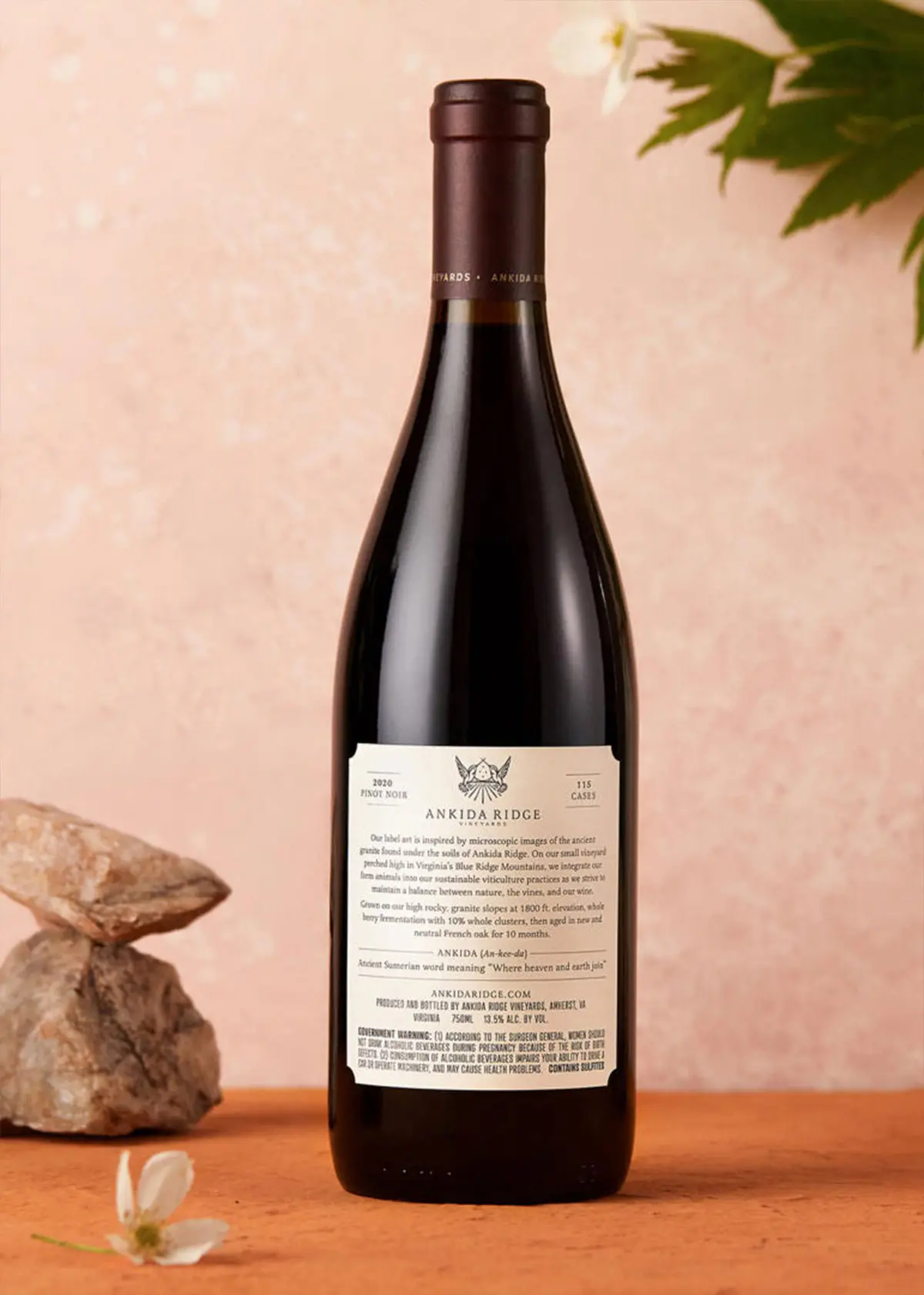 蜂鸟符号包装设计