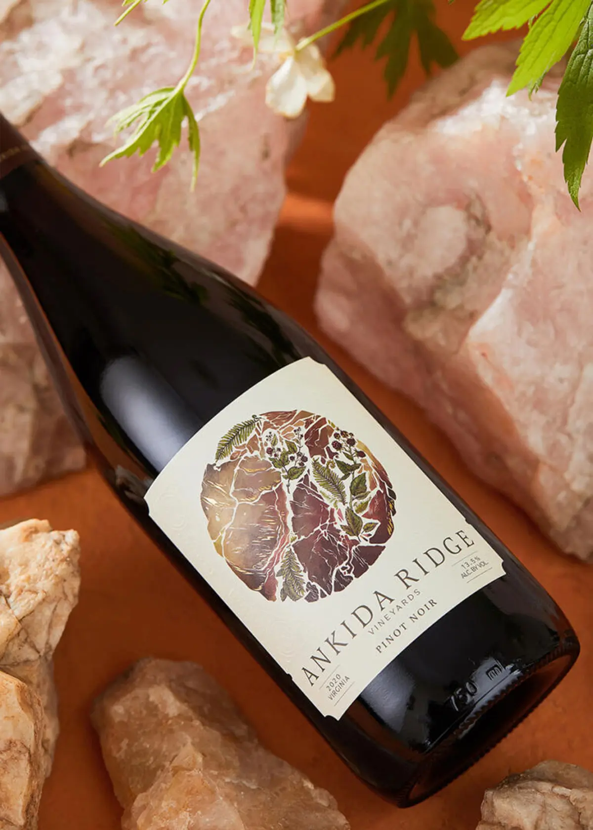 复古插画包装设计