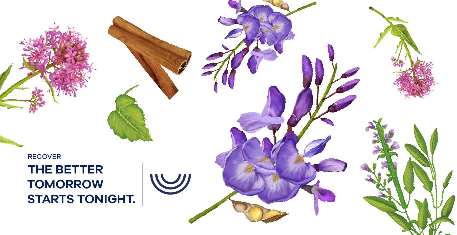 营养保健品包装