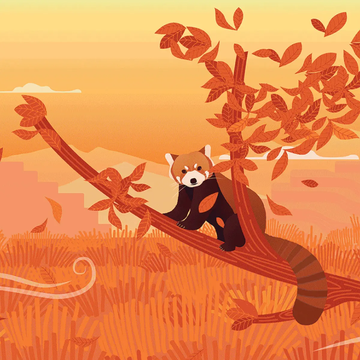 浣熊插画标签设计