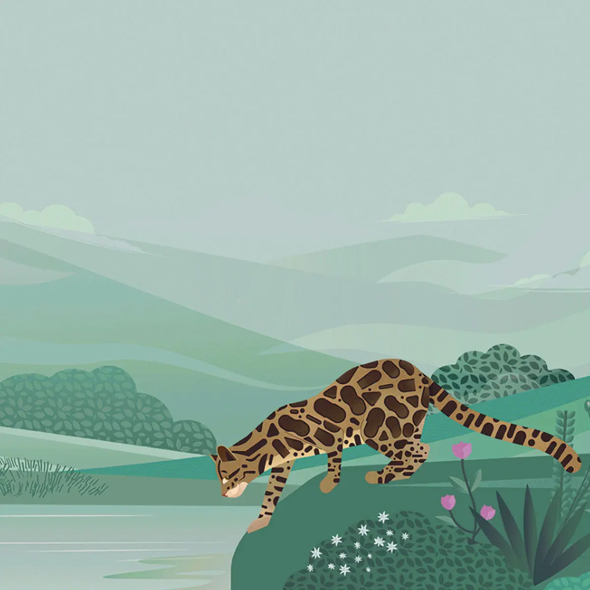豹子插画标签设计