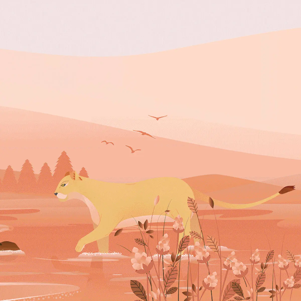 美洲狮插画标签设计