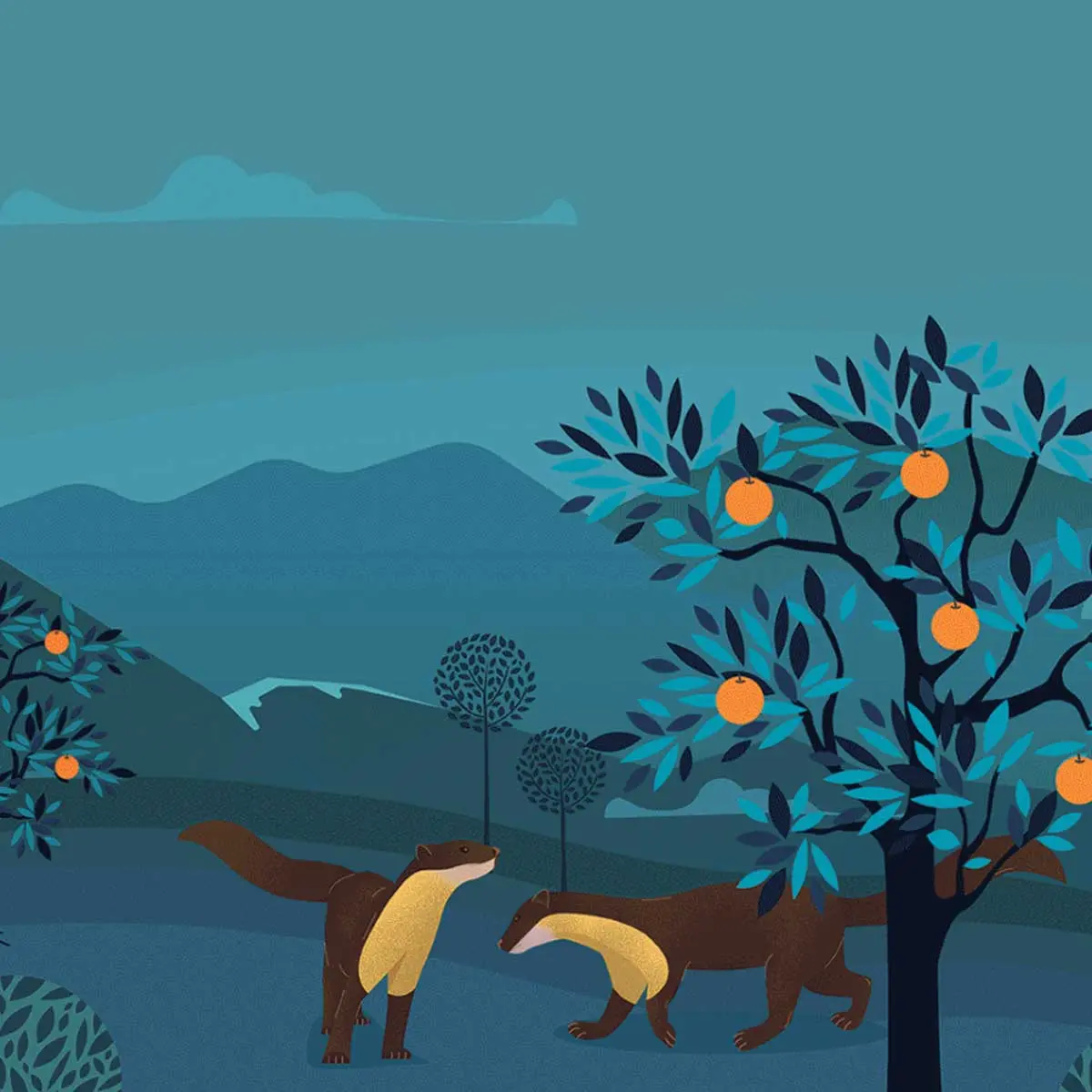 黄喉貂插画标签设计