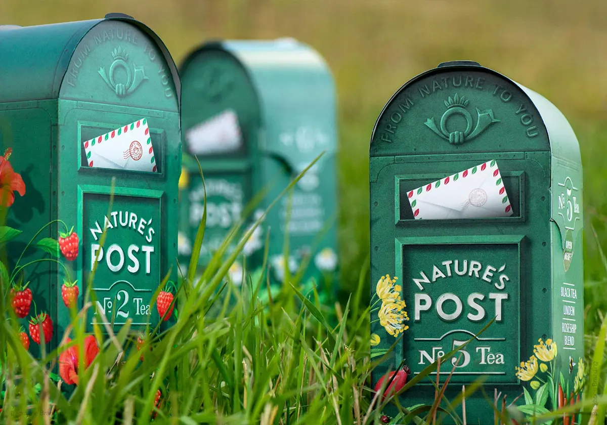 地域茶饮包装设计