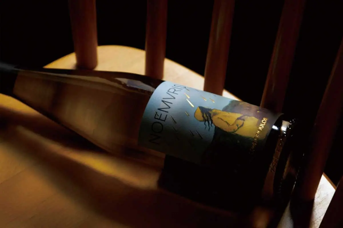 雨衣小女孩包装设计 NOEMVRIS葡萄酒包装设计