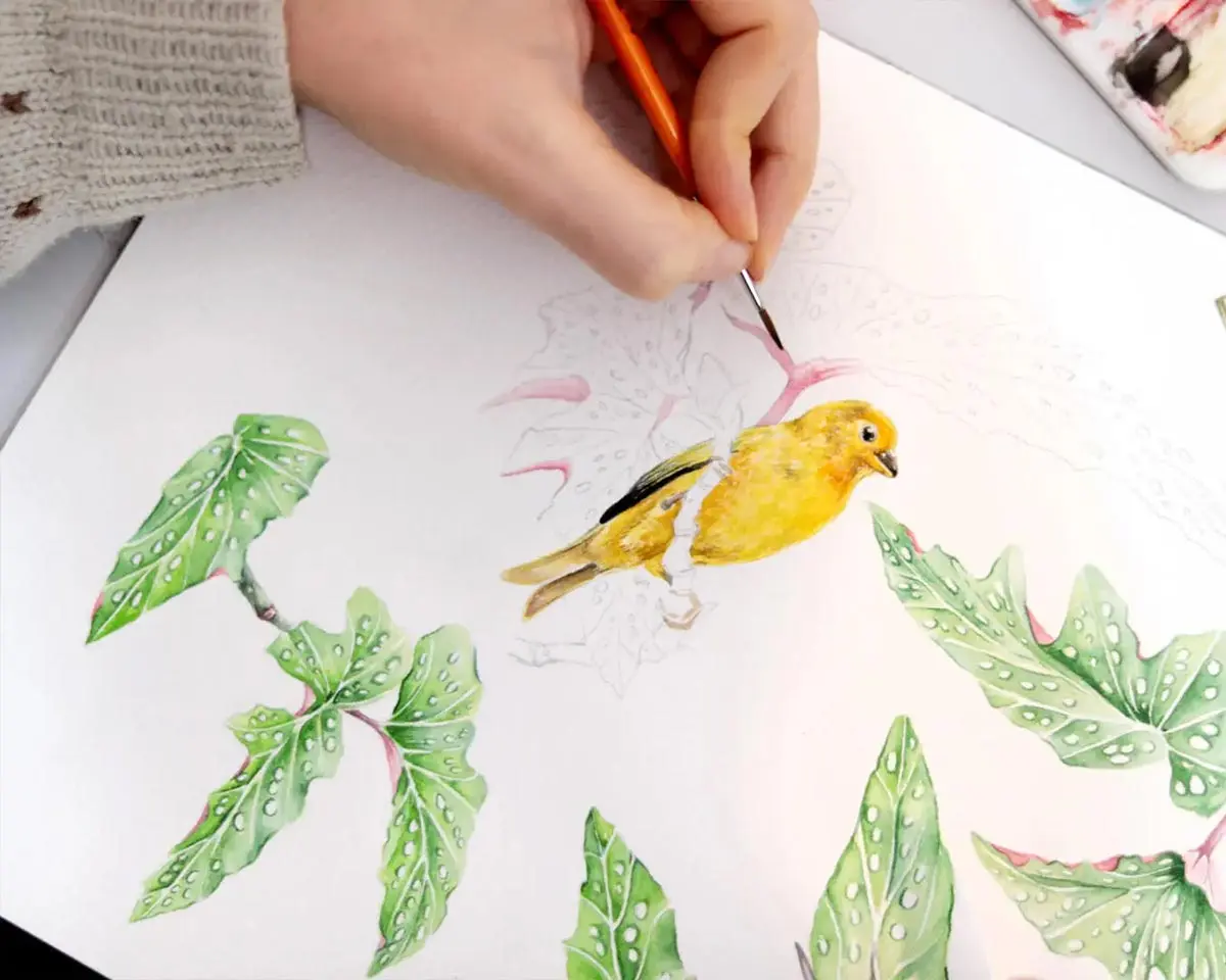 植物插画包装