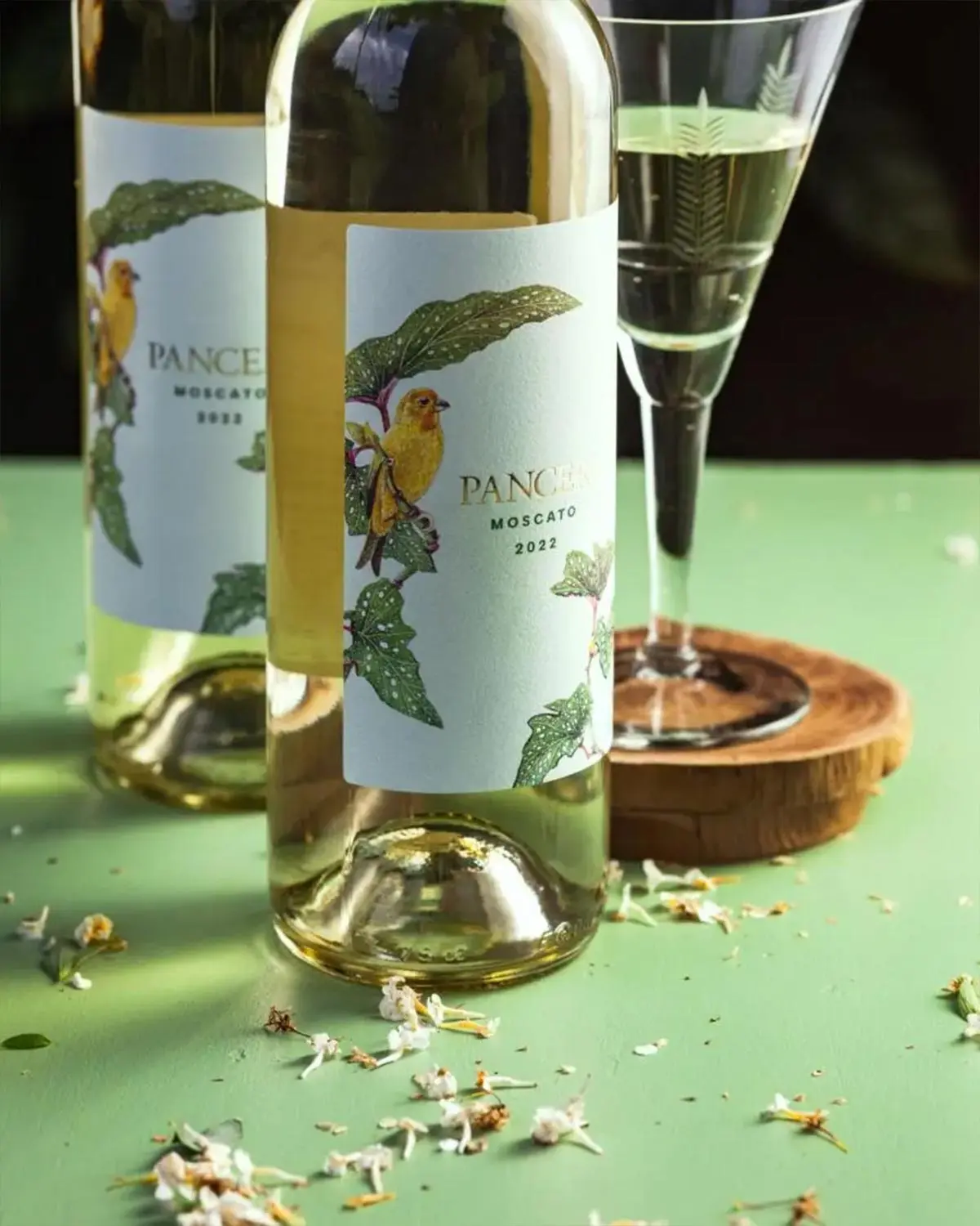 PANCERI MOSCATO包装设计