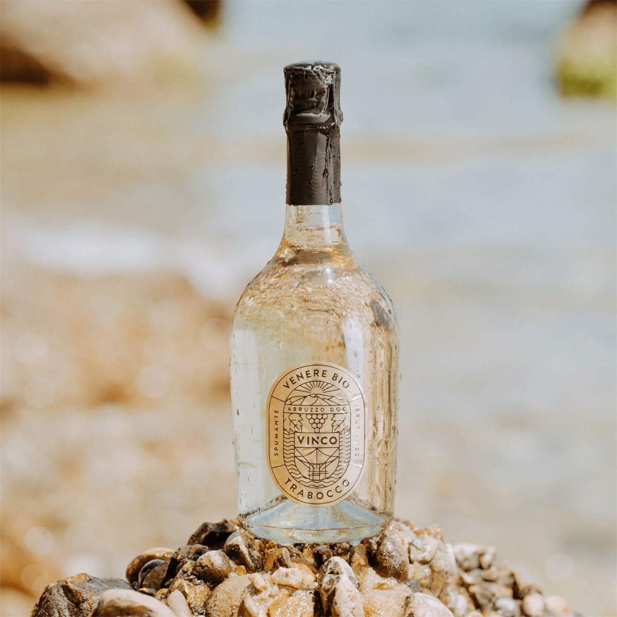 VINCO品牌汽泡酒包装图片