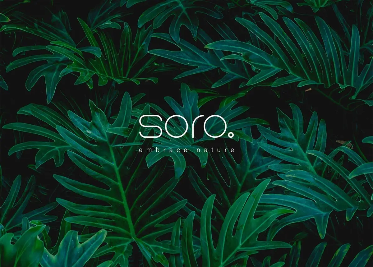 韩国Soro护肤品包装-花草设计