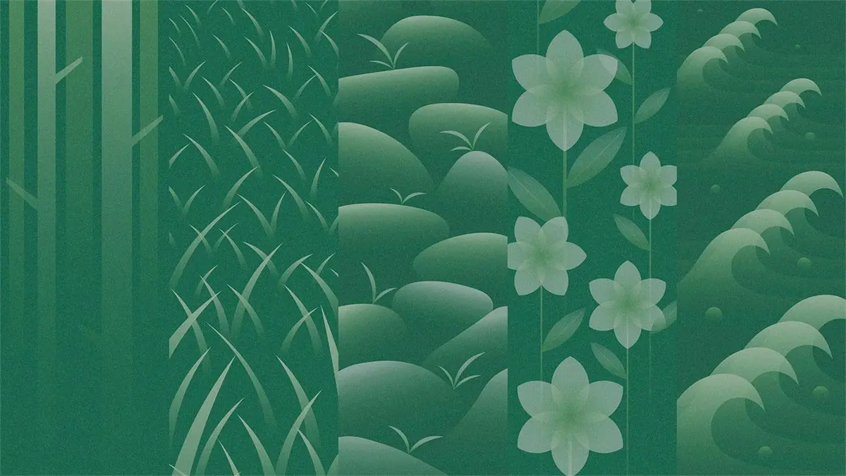 韩国Soro护肤品包装-花草设计