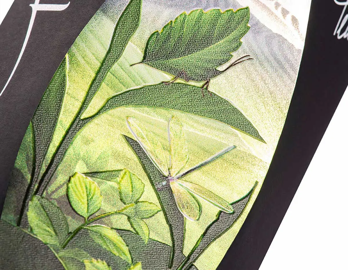 民族植物学包装设计