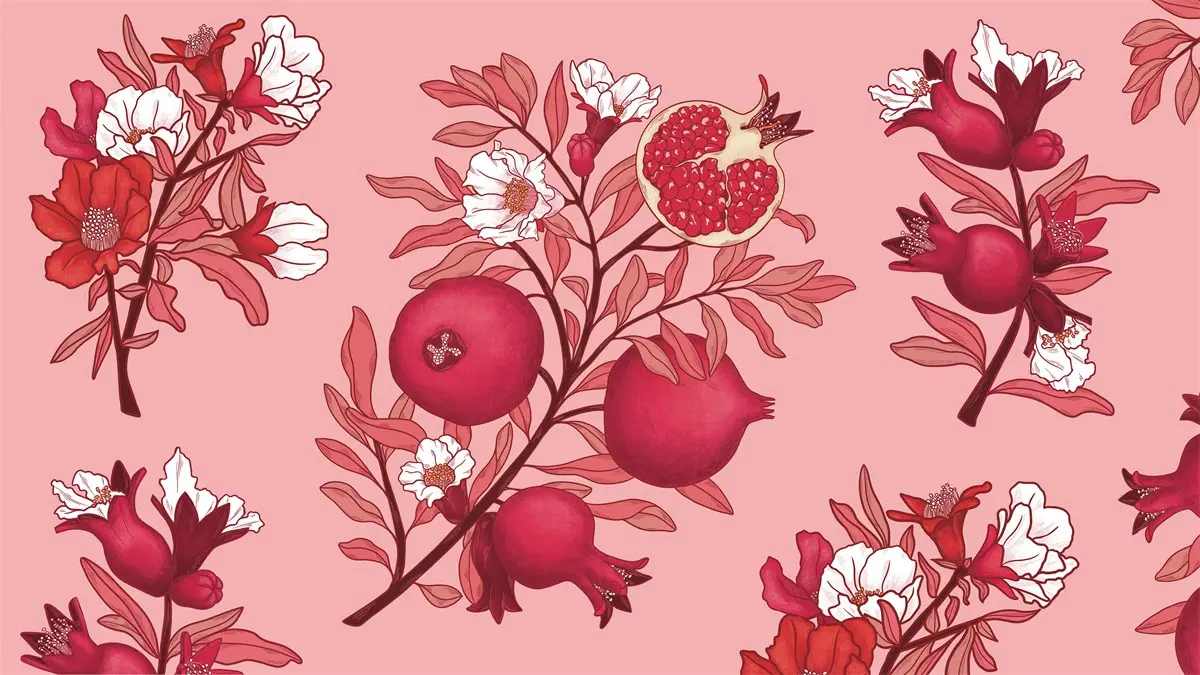 荷兰Ginea杜松子酒包装-水果插画设计