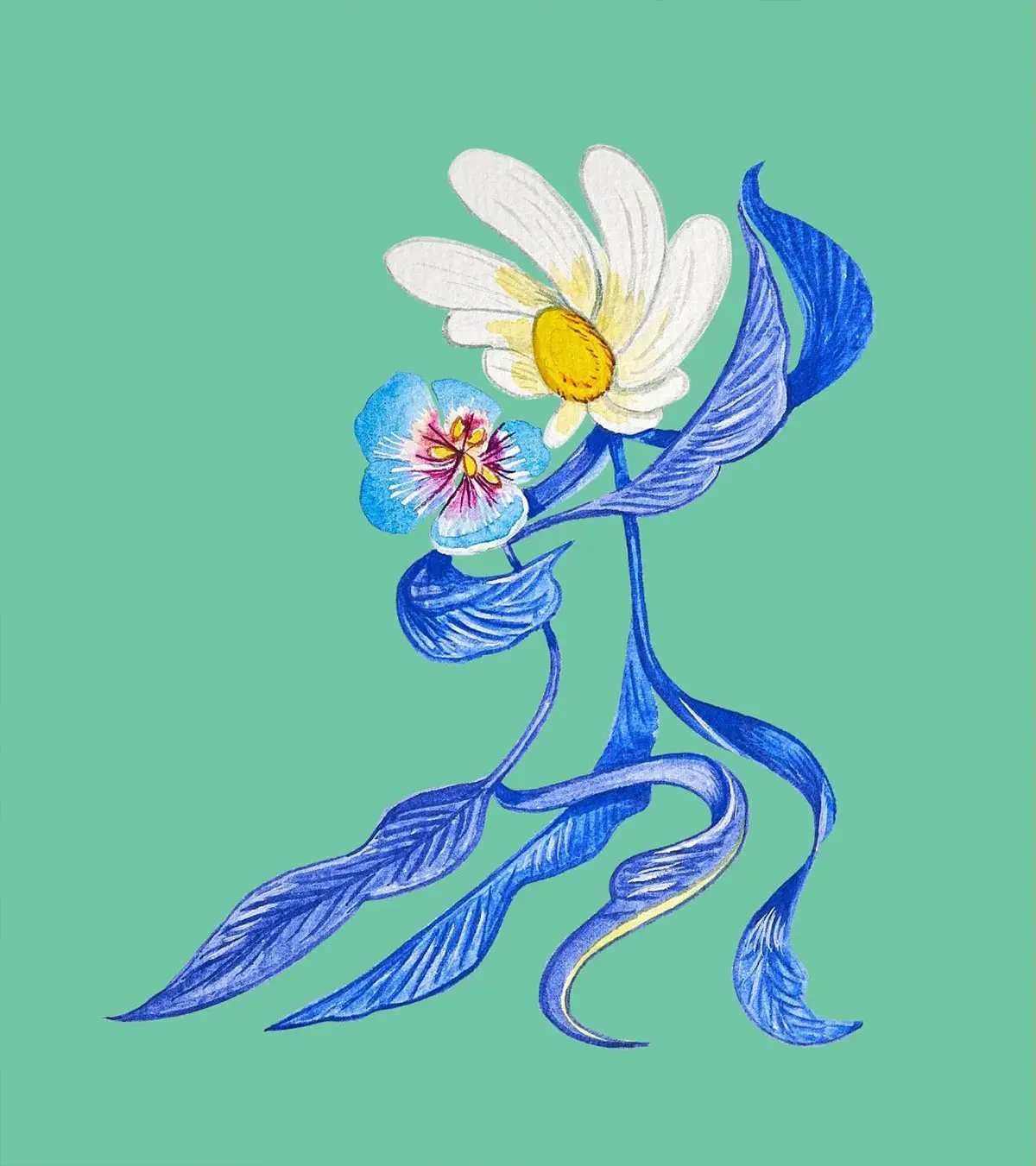 葡萄牙Delância葡萄酒-色彩晚霞插画设计
