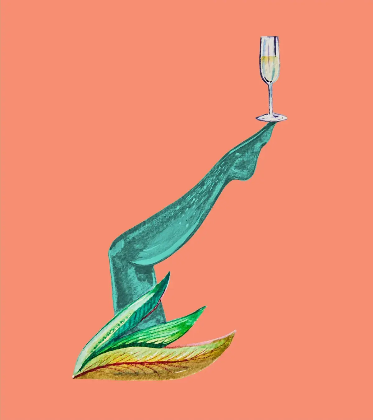 葡萄牙Delância葡萄酒-色彩晚霞插画设计