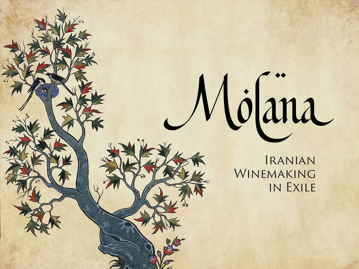 波斯葡萄酒包装设计