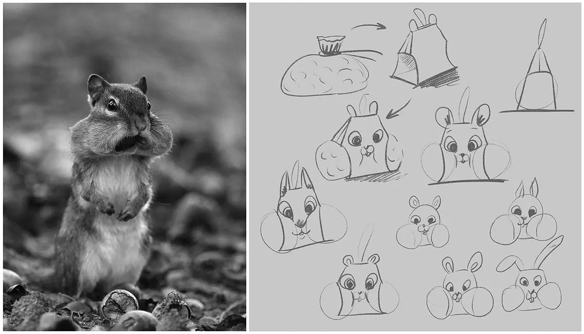 松鼠包装袋手绘图