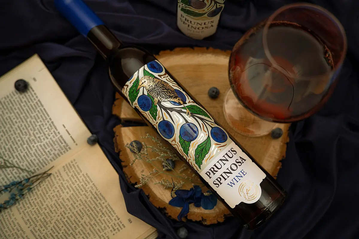 黑刺树鸟插画包装设计 Design Depot葡萄酒包装设计