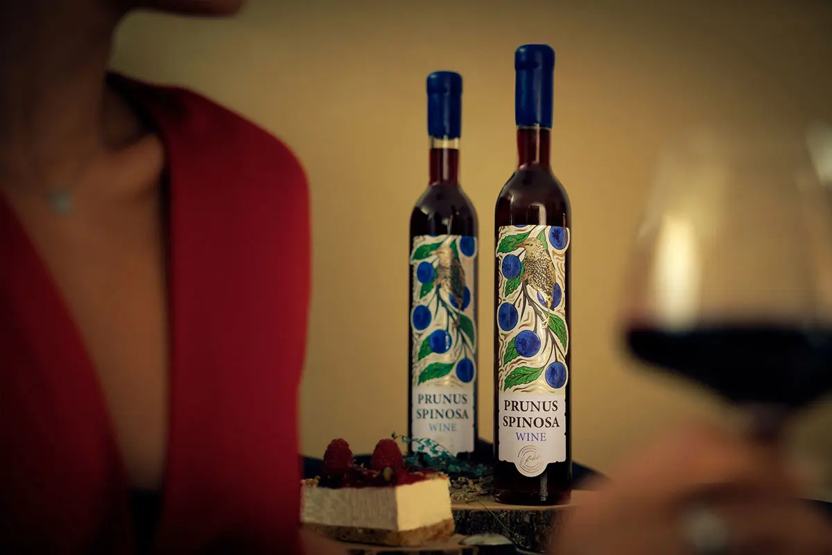 手绘鸟类插画包装设计