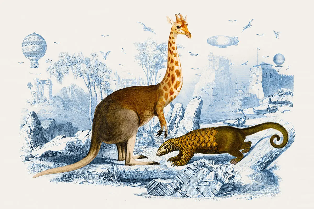 Strangest Mix鸡尾酒包装设计