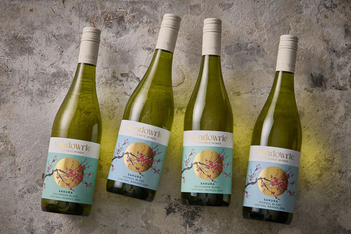 金太阳樱花插画包装设计