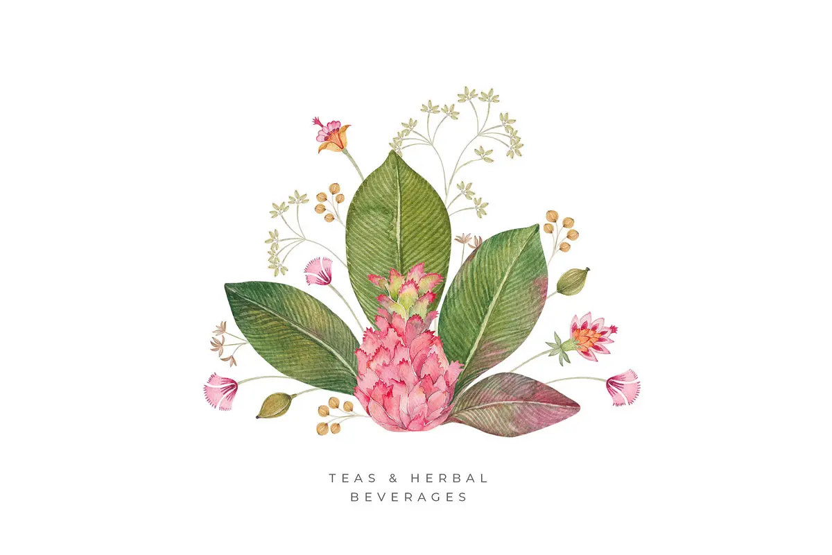 植物元素插画图案