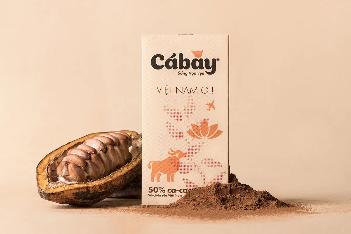 巧克力包装盒设计 Cá Bay巧克力零食包装设计