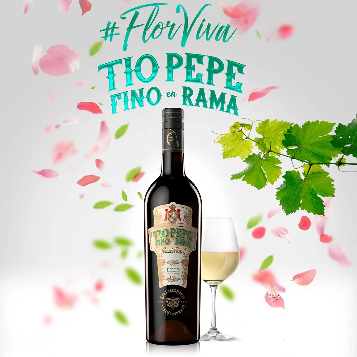 经典葡萄酒包装设计